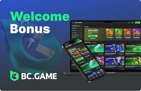 Exploring the BC.Game Online Platform in Indonesia