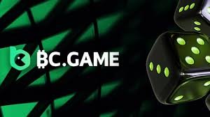 Unlock the Excitement A Comprehensive Guide to BC Game Promo Codes